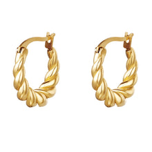 Afbeelding in Gallery-weergave laden, TWISTED EARRINGS
